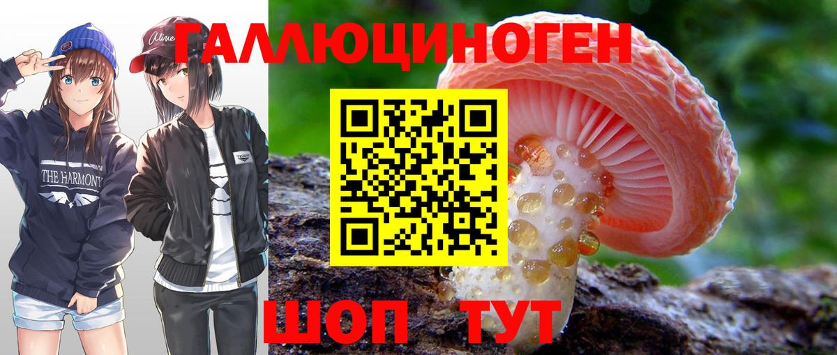 Псилоцибиновые грибы Psilocybine cubensis  Галлюциногенные грибы Magic Shrooms  Елабуга  Вход с VPN 