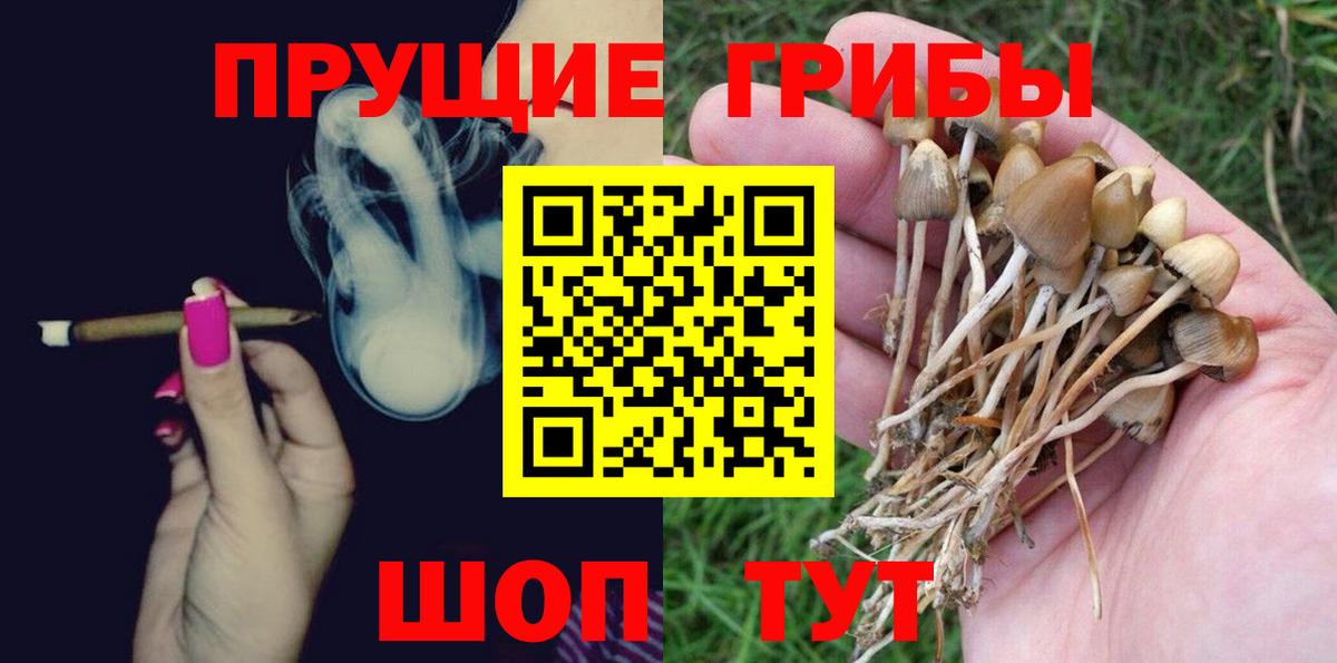 Псилоцибиновые грибы прущие грибы Елабуга